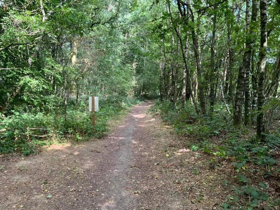 Gite N°4, En Pleine Nature, Frontalier Signy-le-Petit Екстериор снимка